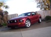 Mike's Mustang